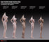 Phicen TBLeague S25B Suntan, Medium Bust Female Seamless 1/6 Body Action Figure